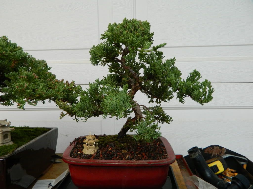 DSCN0382.jpg
