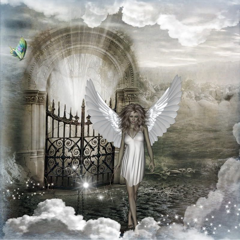 Heavenly Gates Pictures, Images and Photos