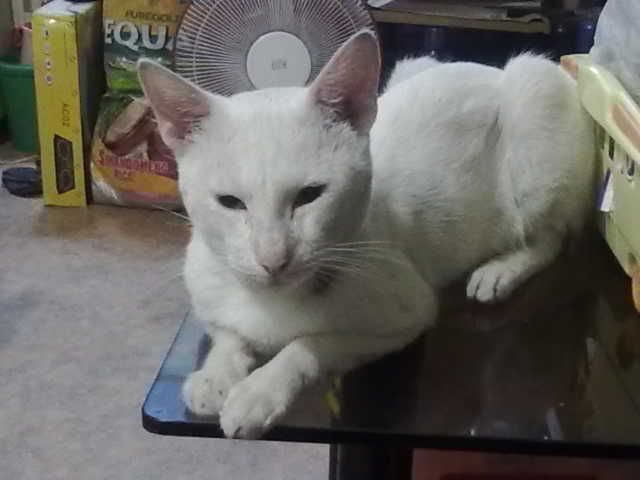  photo Image353_zps4d8b6d98.jpg