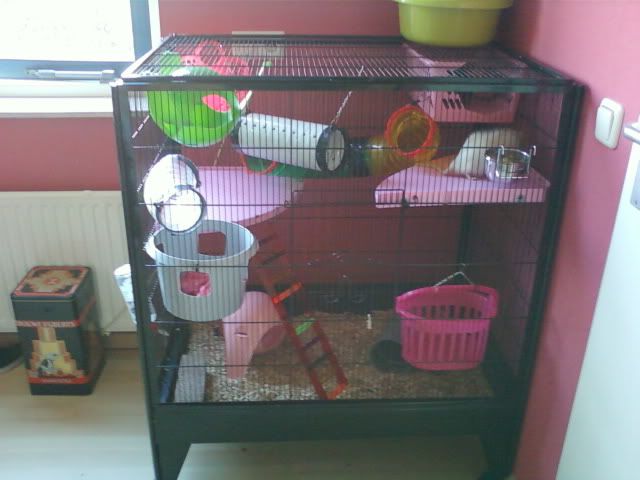 Foto-0111.jpg