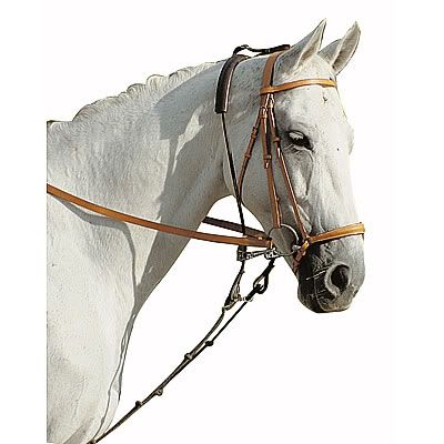 Equilonge.jpg