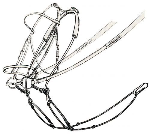 Equilonge2.jpg