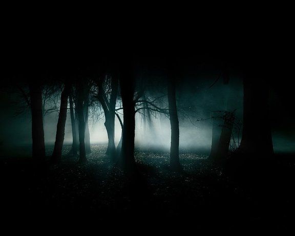 rsz_1rsz_dark-forest-night-image-31002.jpg