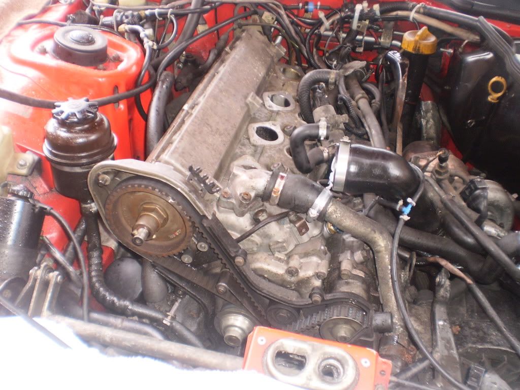 PB220254.jpg