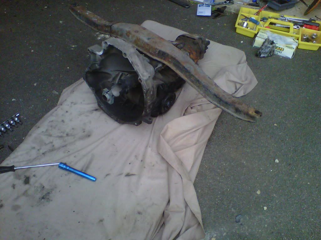 IMG-20110605-00040.jpg