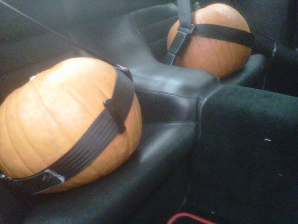 IMG-20111027-00103.jpg