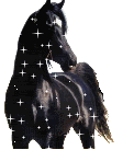 animated horse photo: Sparkly horse animal009.gif